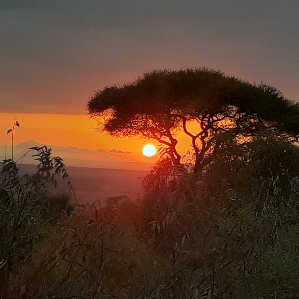 Serengeti NP: One of the best national parks and places to visit in Tanzania