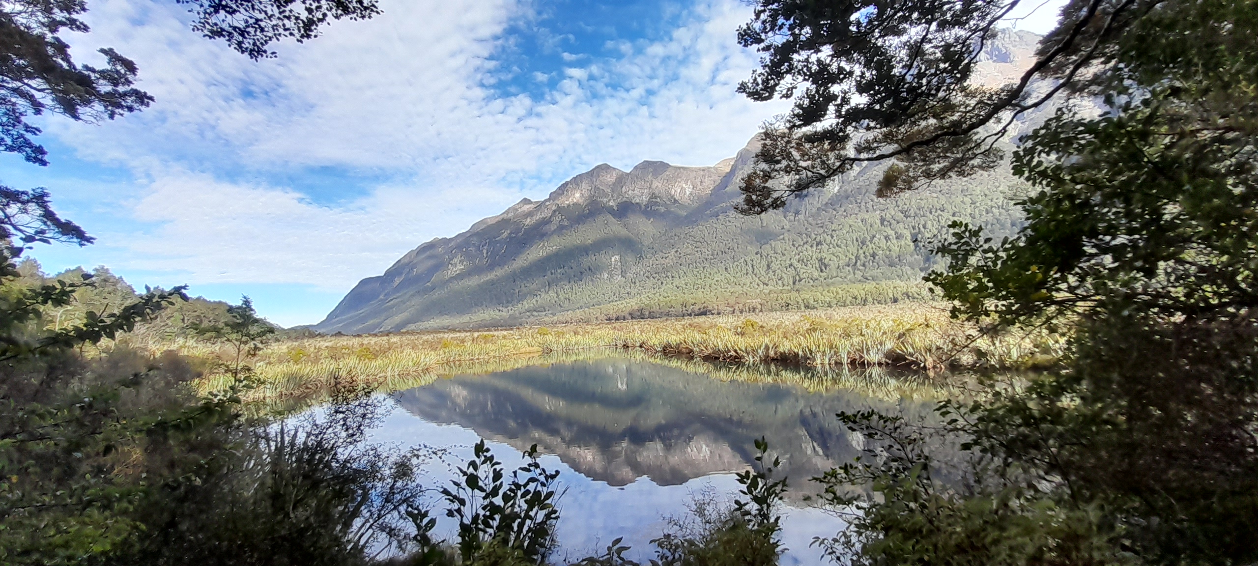 New Zealand-Endless pastures and beyond