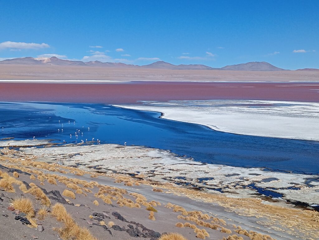 Places to visit in Bolivia: Laguna Colorada