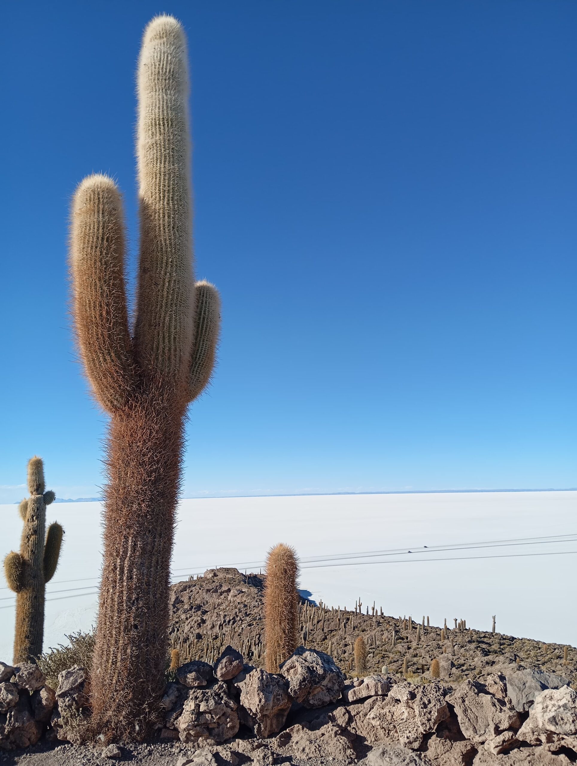 Bolivia- Serene landscapes, indigenous culture