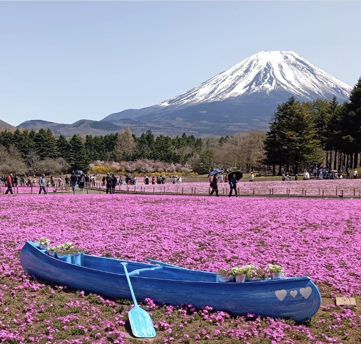 Japan-Where precision meets tradition