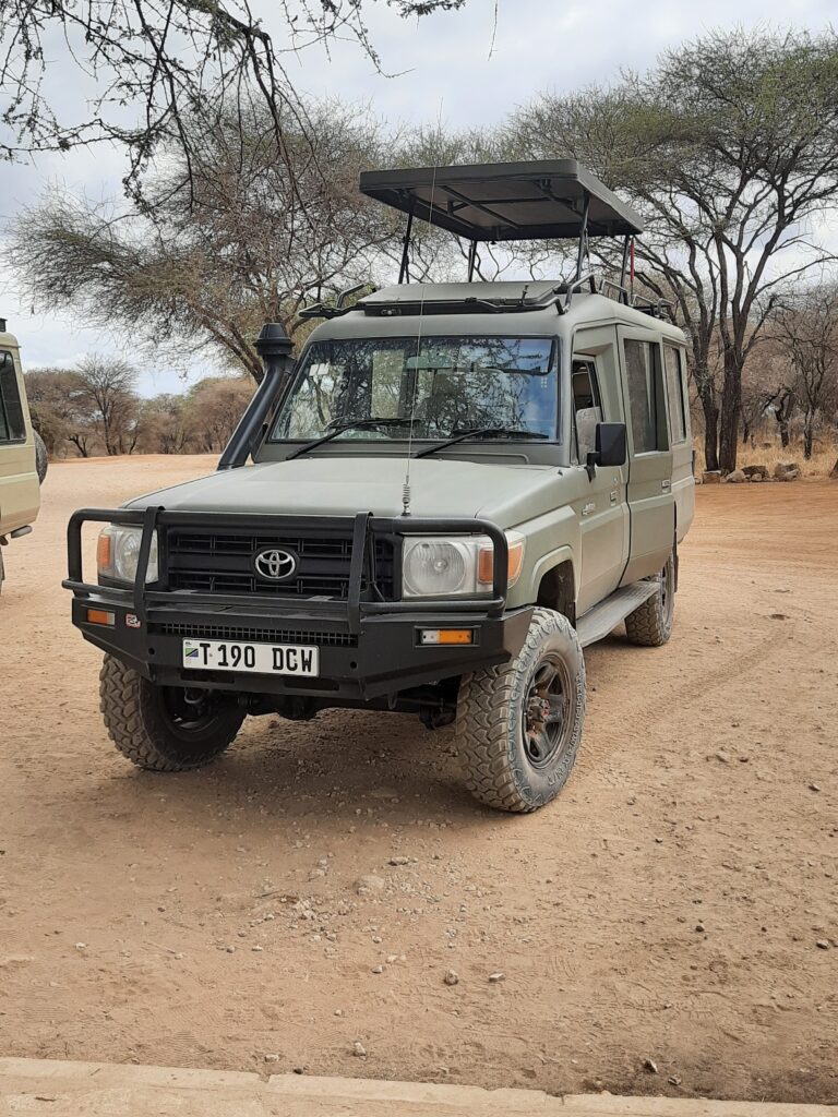 African safari