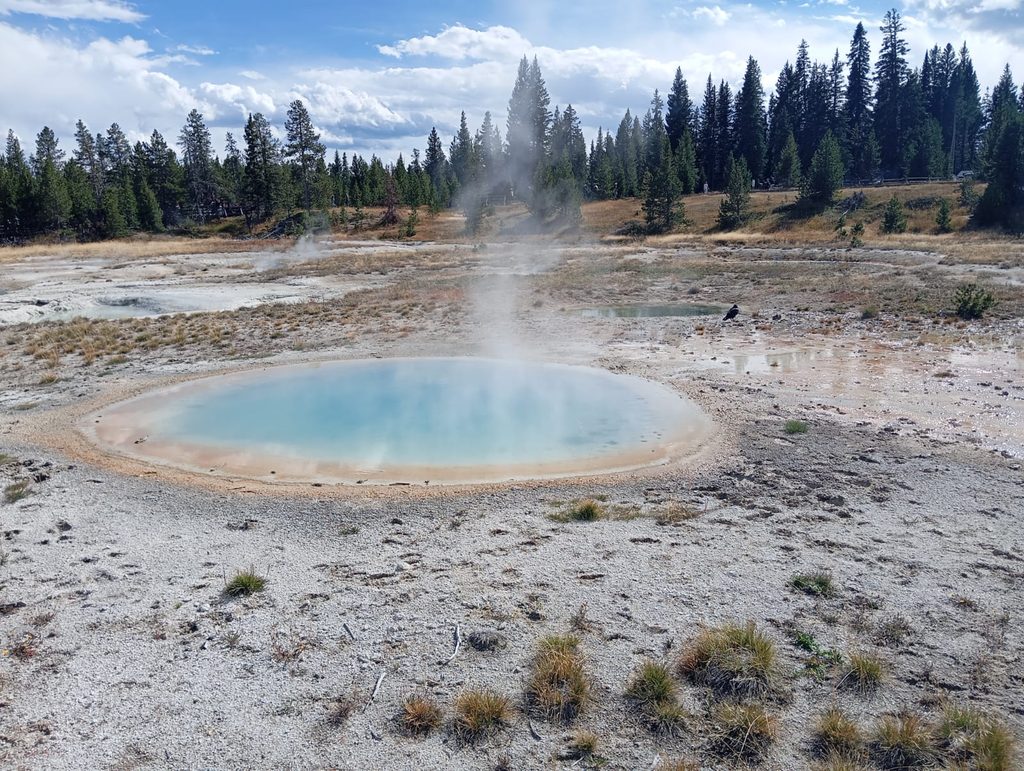 Yellowstone NP
