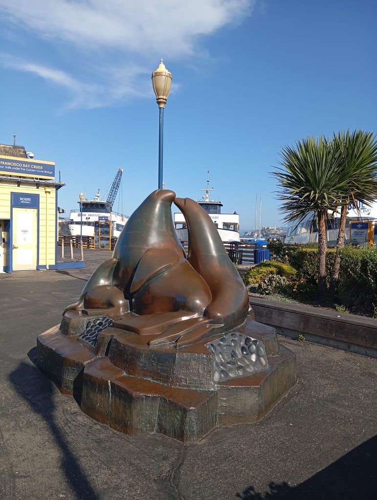 Sea lions: The brand ambassadors of San Francisco